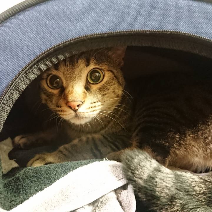 B2dfcf17 2d7c 4779 8740 ecd11a1967ce 1535284402414