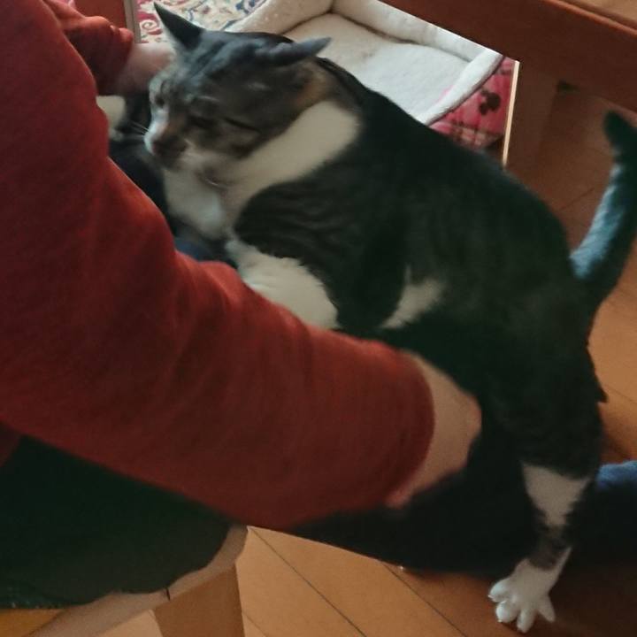 B2dff8e9 0f70 4c67 9e7f c88b5ef558ab 1555131783401