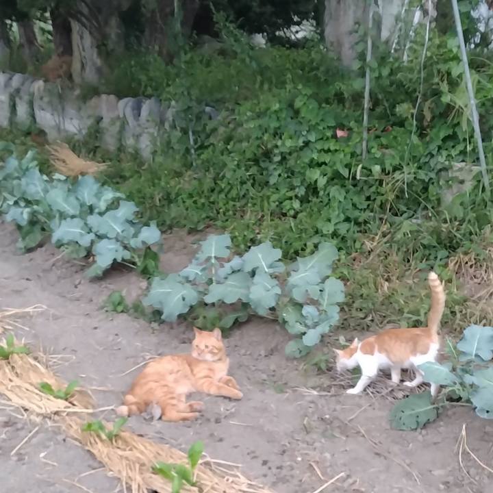 B2e00341 3095 4651 9494 3d67ffd3bd0a 1725787421757