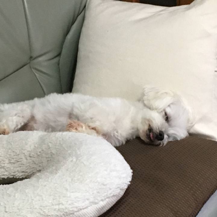 B2e020cd 0fdd 45ea 8ffd 91d7447aecf4 1592568478563