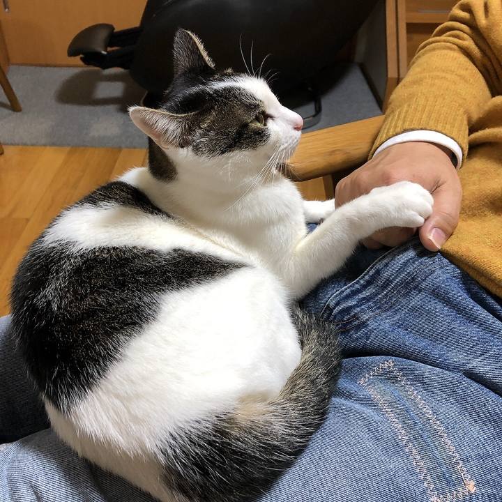 B2e02b0e 75c1 48bd a82b 519c512c81e2 1640302008163