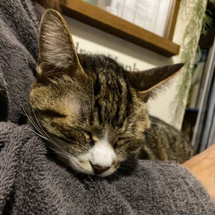 B2e032cb a41c 46d9 b157 edd118f1e9d0 1639846574301