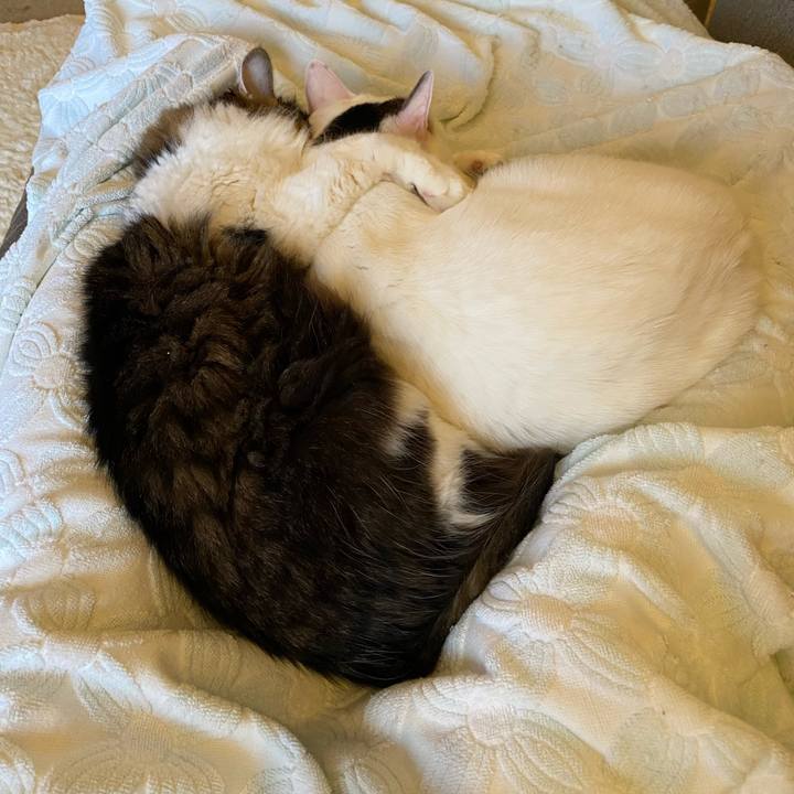 B2e03358 bcb9 4935 be57 0993b9a6cf7a 1632644627258