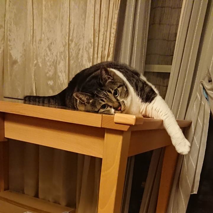 B2e03398 91c7 4ac9 b2f0 553e316086ae 1568114578757