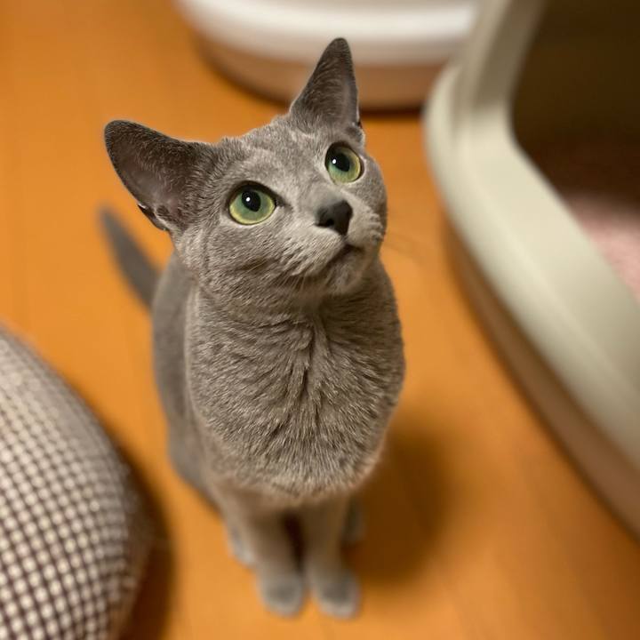 B2e03879 9863 4707 b087 440a696d003e 1651103607360