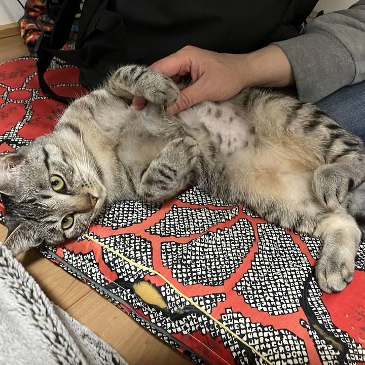 B2e03d70 efee 442a 95d6 c6a58a7f2ddf 1678711643987