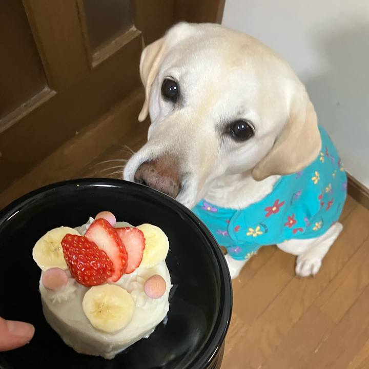 B2e04b09 9c6c 4649 9082 f3ec620f2936 1677670781356