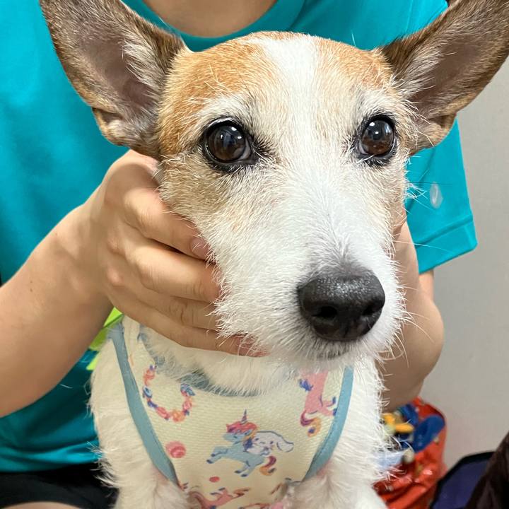 B2e058a9 0b95 466a 83e3 2e36cbe8a303 1685057048006