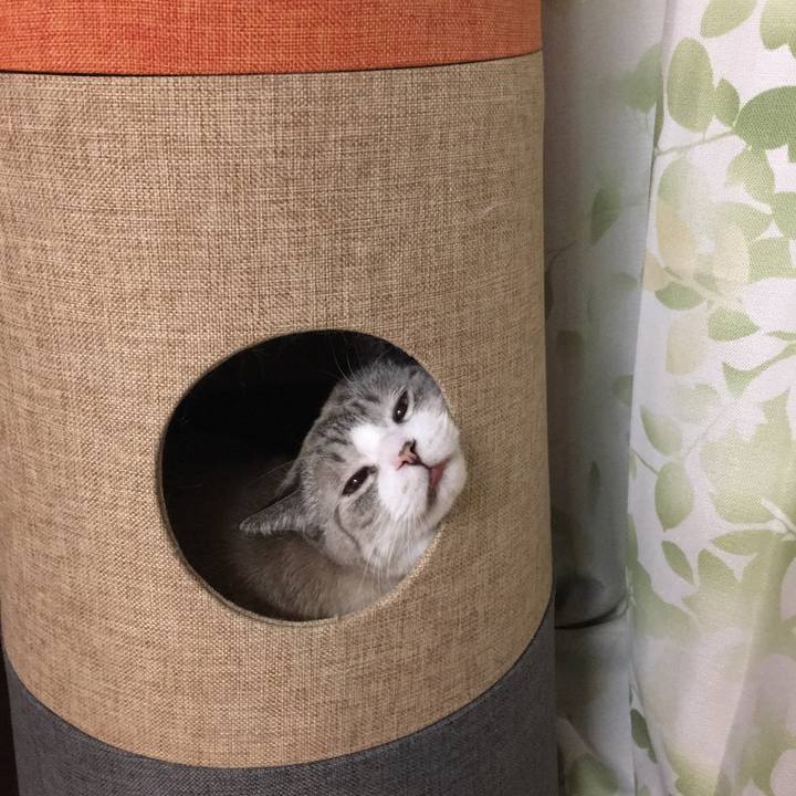 B2e06617 c80e 4094 9321 fd9861913d53 1578618017223