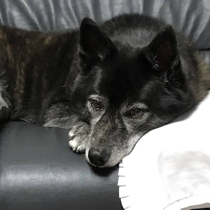 B2e071e0 2bc5 4ef5 9f75 10ec98d1b258 1569991293162