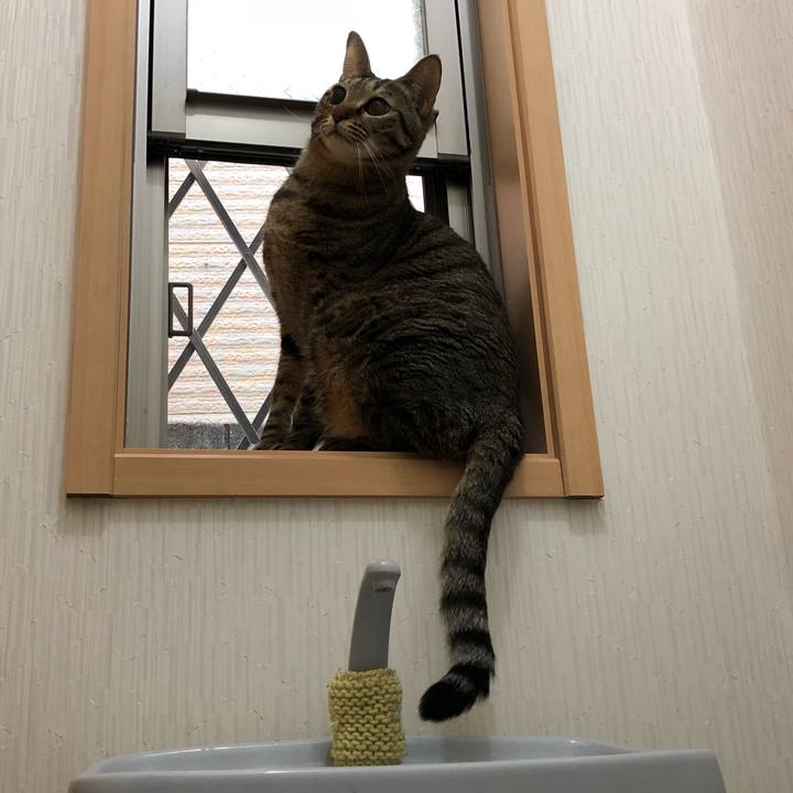 B2e0abb0 bbc9 4a7d 9eec e0743d91e463 1519731405564