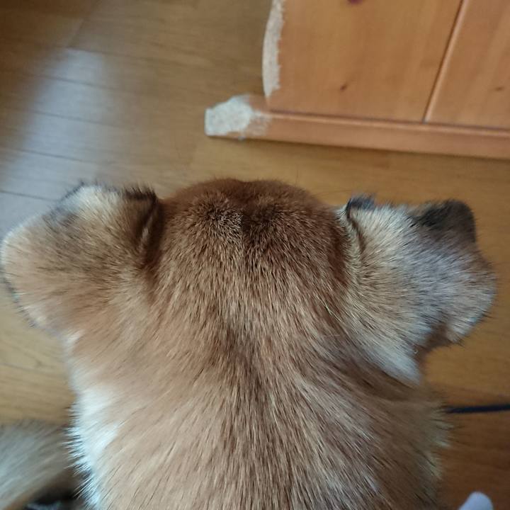 B2e0cf26 1906 470c b0e5 2e2fc8953196 1546057098724