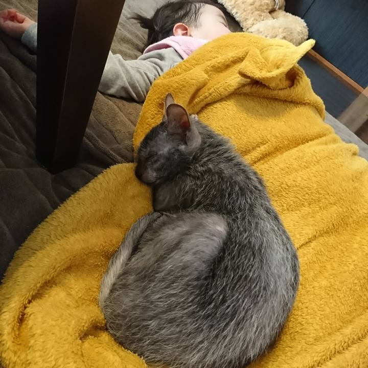 B2e10db6 863c 4f28 8db9 a99cc24d1c00 1517458984737