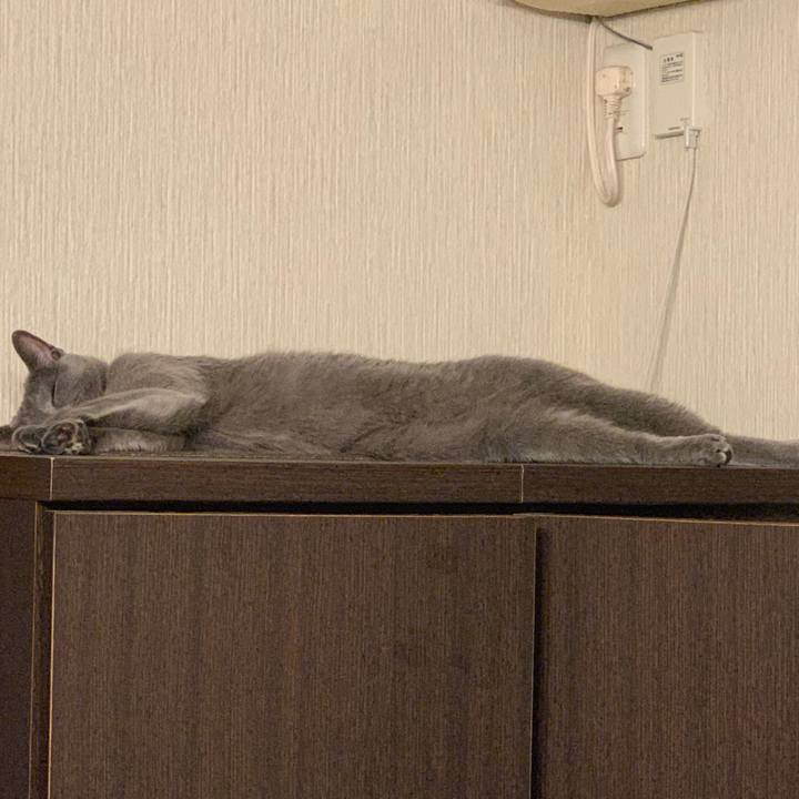 B2e113b6 5a6d 48f4 9e48 7d6a5bf3e98a 1670719583742