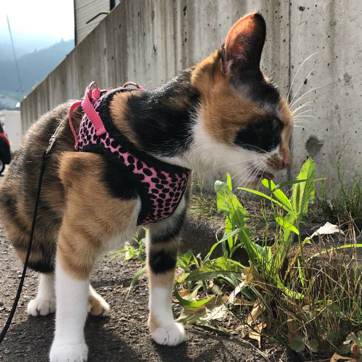 B2e11677 5ee7 4e36 adcc 01d78da39f90 1531709223800