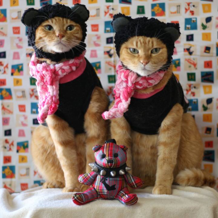 B2e13535 c45c 40cf 915a be3417f16dc3 1515217797209