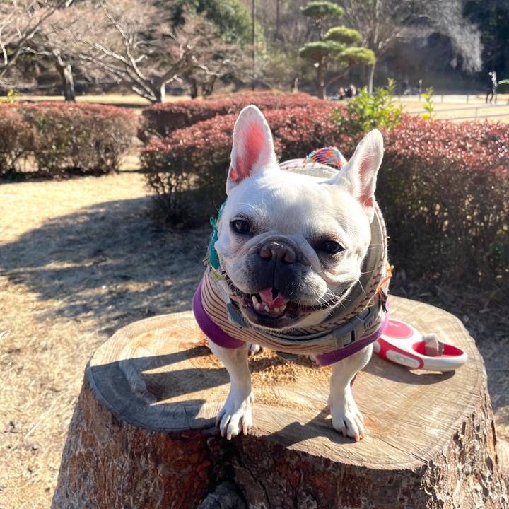 B2e14e71 0a6c 4b77 ab4c a4bd86eac500 1768257848810