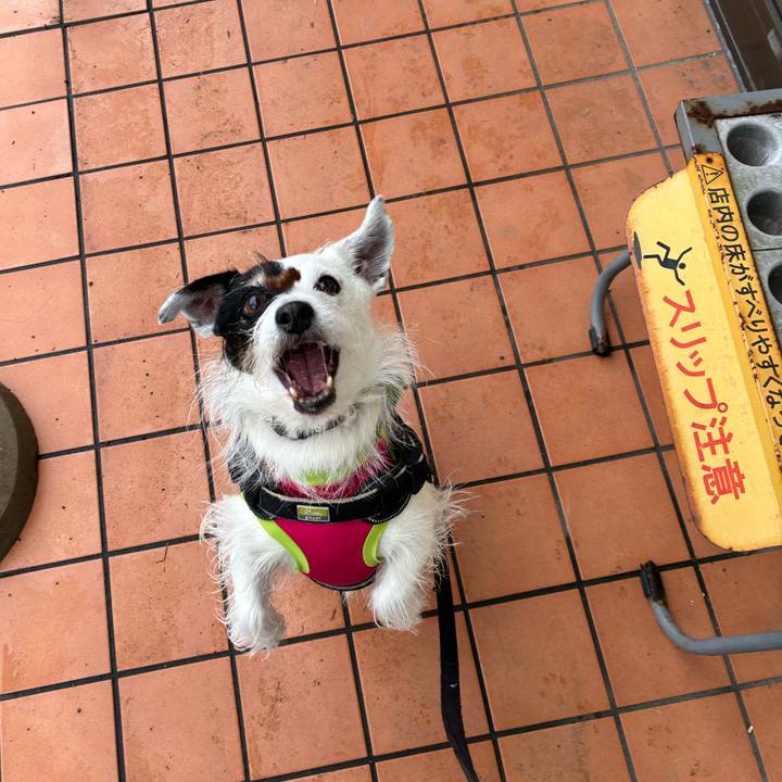 B2e1831b 8ecd 4b1a a568 ae3cbf98b274 1762654463131