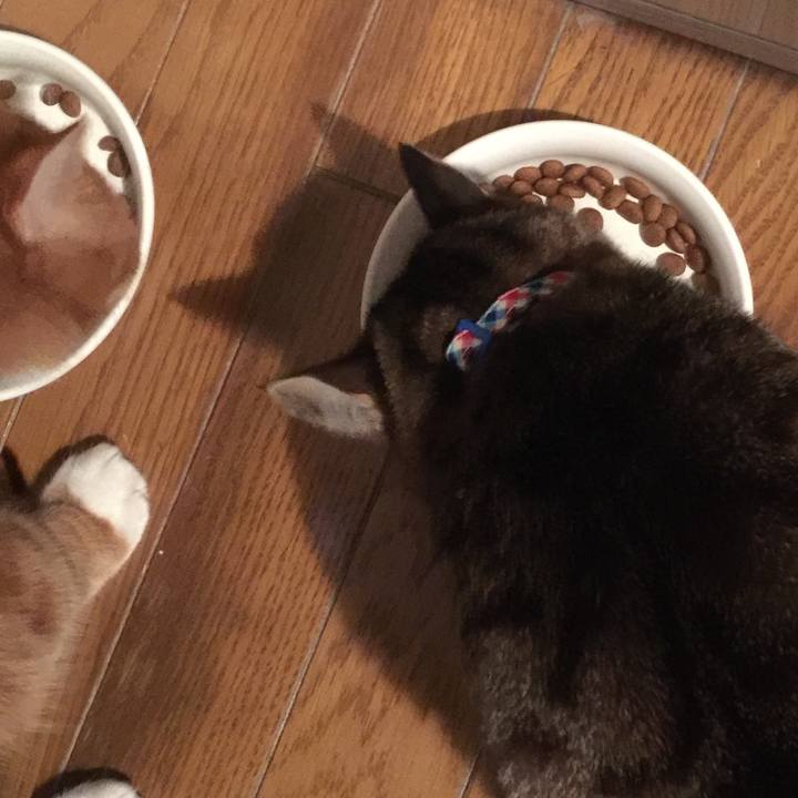 B2e1b073 22fa 4c17 bf3e 7beee08dd4f8 1549255062560