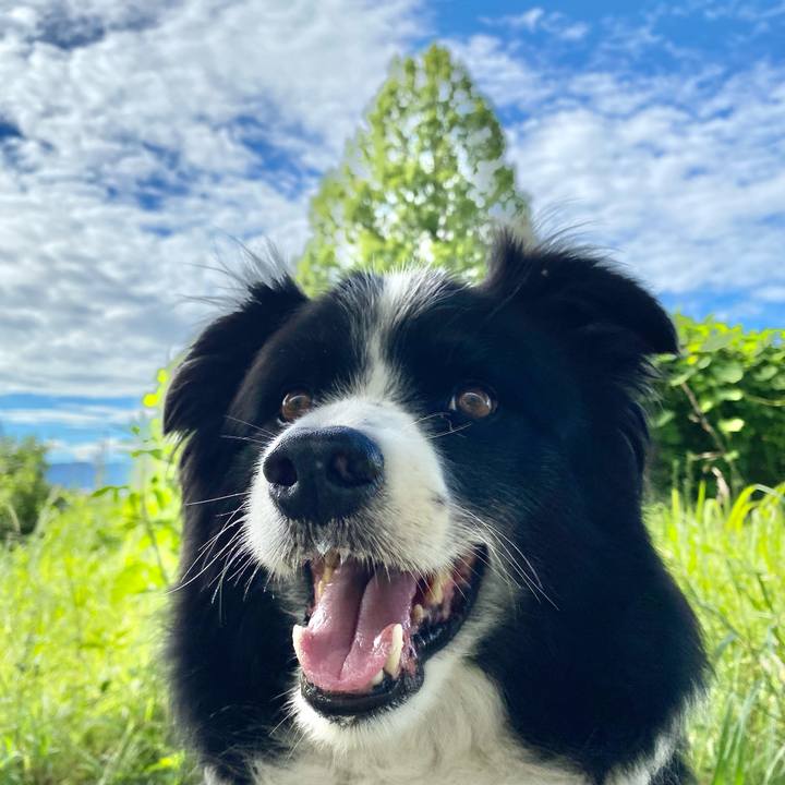 B2e1d079 ced8 49f4 b53b 9e8fb873aed7 1628295196536