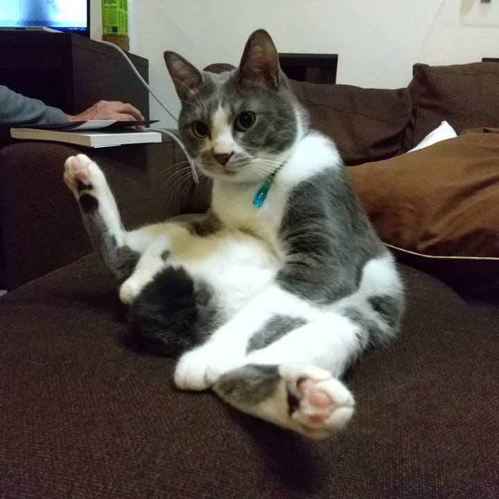 B2e2242a 67ec 488d 86bb 470eef010c2e 1637938042693