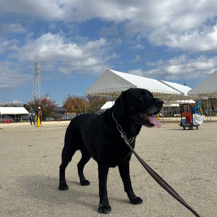 B2e25760 83bd 4467 bace 1c0e38319e18 1762604481777