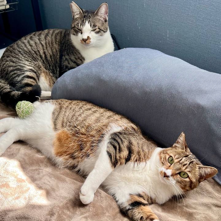 B2e2b45c fb93 4768 8ac9 0016bda59686 1764418469940