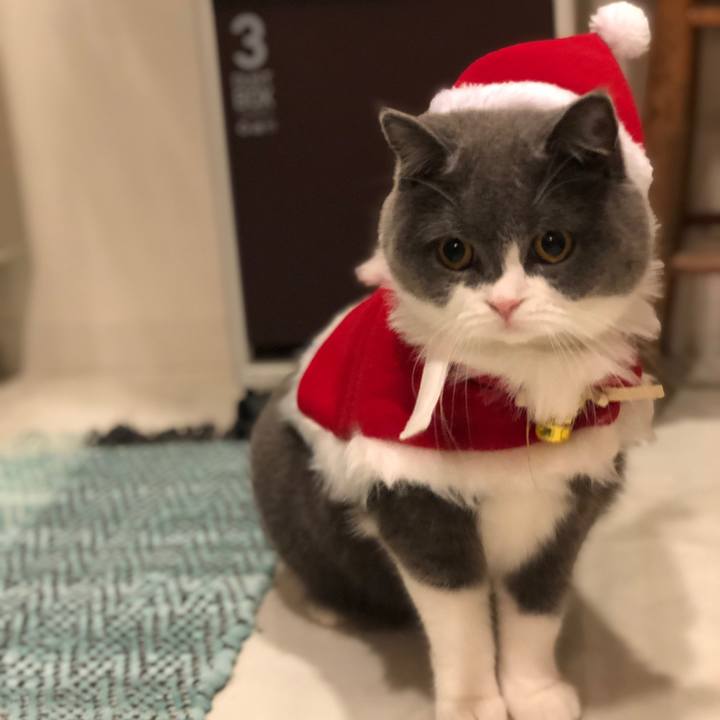 B2e2bee2 b66a 4503 971c 04a9e0af29d5 1544831138614