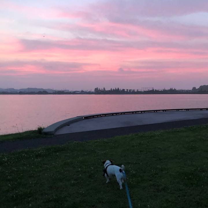 B2e323d7 81bf 4848 be35 d95d5bd4000f 1562239737241