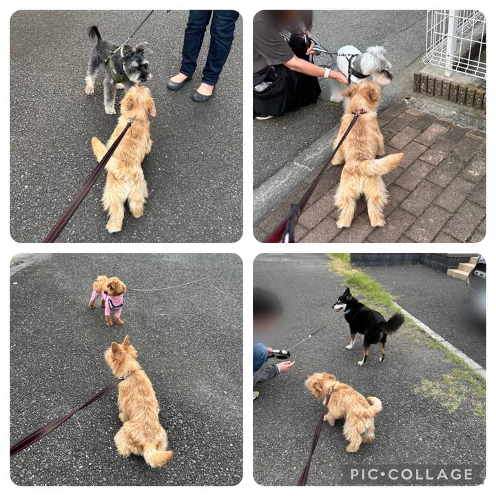 B2e3356b 50de 4d9f 9ca6 59541fb5f22b 1721634414726