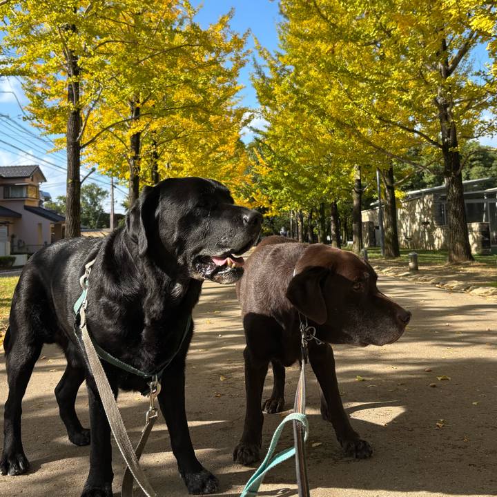 B2e365df 4397 4584 8108 c5210f648cd5 1762779651944