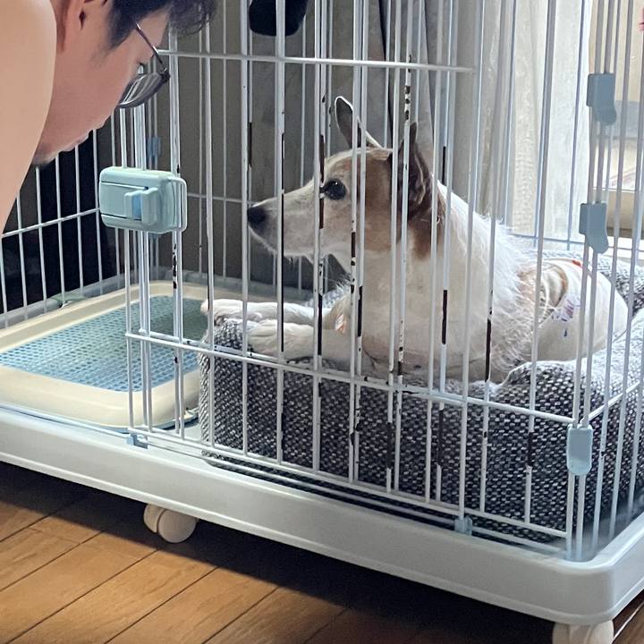 B2e36fc6 3d77 4604 a120 44170c912e91 1728090027051