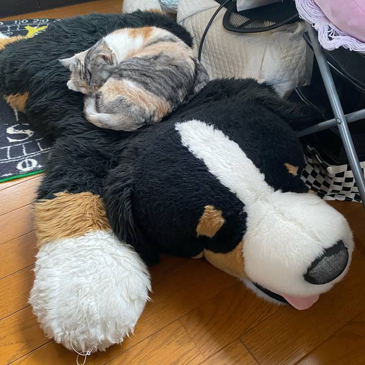 B2e376bb 2ce5 4389 9ef1 edf0603eb1fe 1648524888594