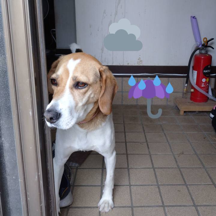 B2e376c3 1a1c 49b9 bd31 58b3241b7d05 1591768314747