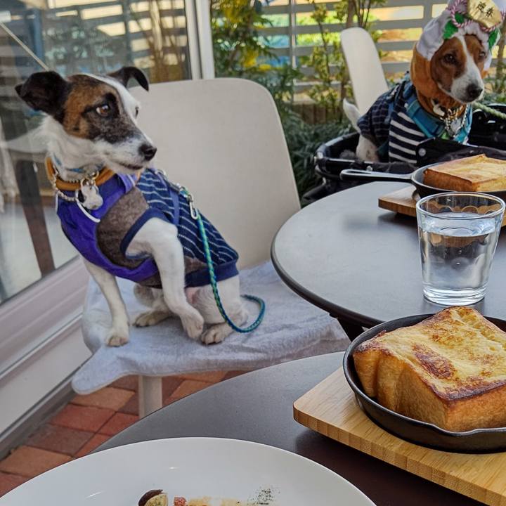 B2e38a78 9654 4018 aea3 d487e0165374 1640747000110