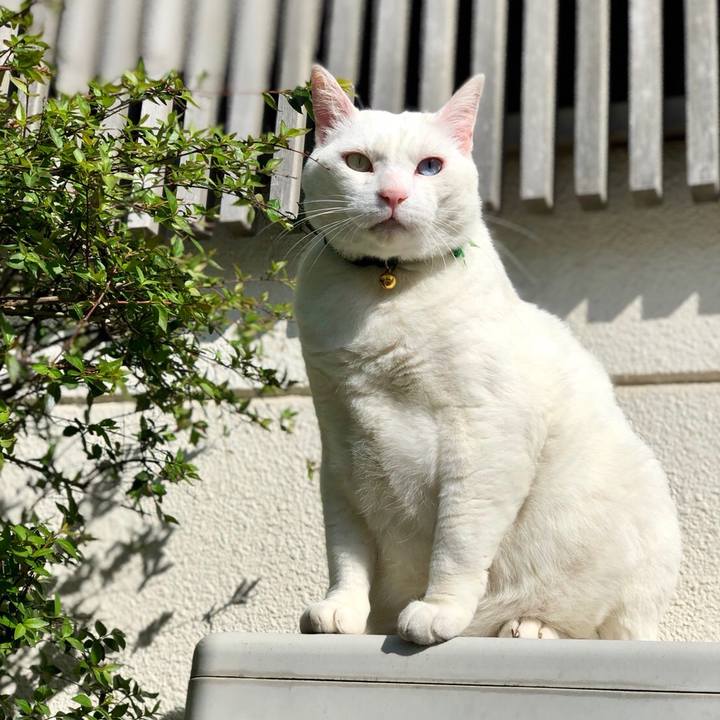 B2e392d4 9328 41ad 8b0c bcf4613f24ca 1556475369124