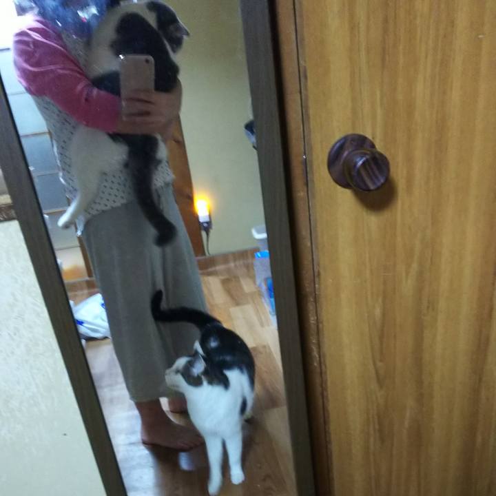 B2e39b33 7e4c 45b3 9dc2 513254ecb9b3 1544239238584