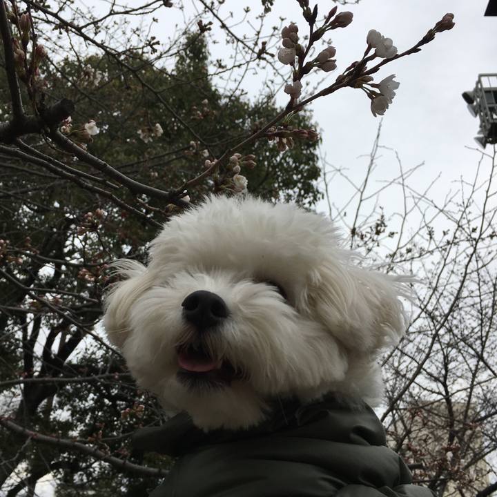 B2e39fae ad32 4aff a9e1 b5228f26f6cb 1521353578782