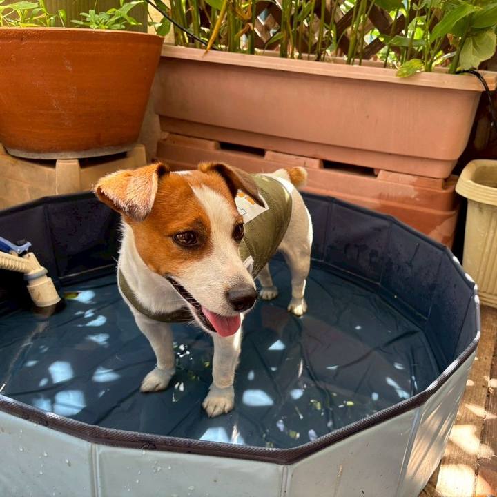 B2e3aacb 1829 46dc 81da 18da664d33a5 1753658729245