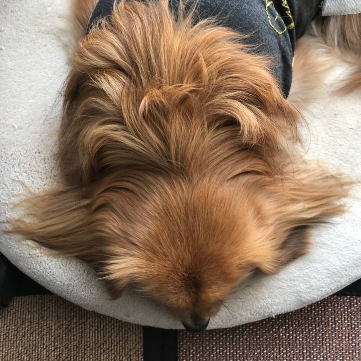 B2e3b567 9a55 4288 886f 0e5fab934ee5 1553813570264