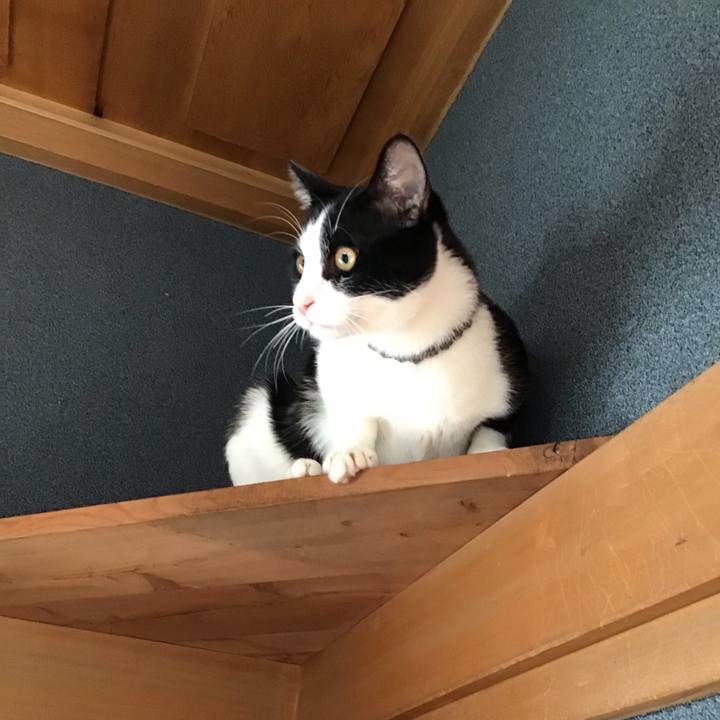 B2e3ce15 fd9d 4b09 99cd a3929762d8e6 1640053222949