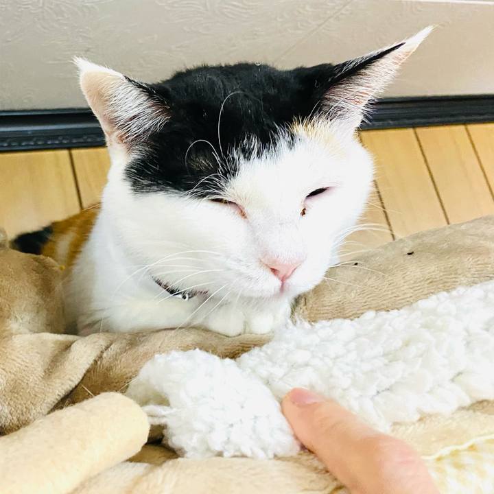 B2e3d572 41c7 46fb becd d89a1a1cc860 1676120912526