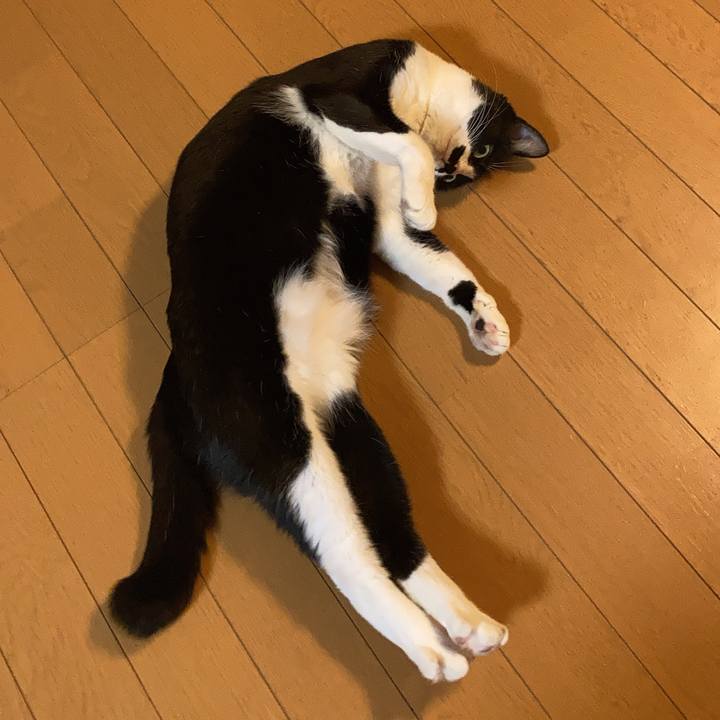 B2e3e3da c17a 480c 800a 499fc4948f1a 1714445489957