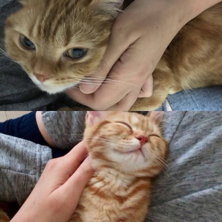 B2e4013e b17b 4f79 98ef b6b752ddf4cb 1520504456372