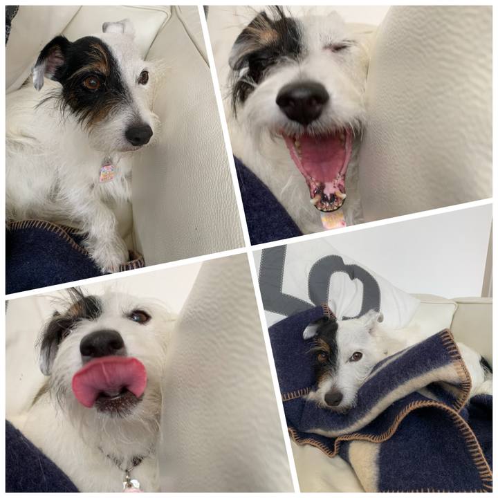 B2e42697 ac7e 4aad 8e89 08f75501cb13 1666070680707