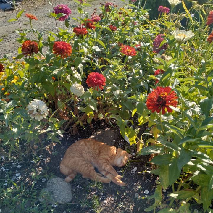 B2e427cf 23d4 4515 a6d7 8f9152f3d32e 1691620826034