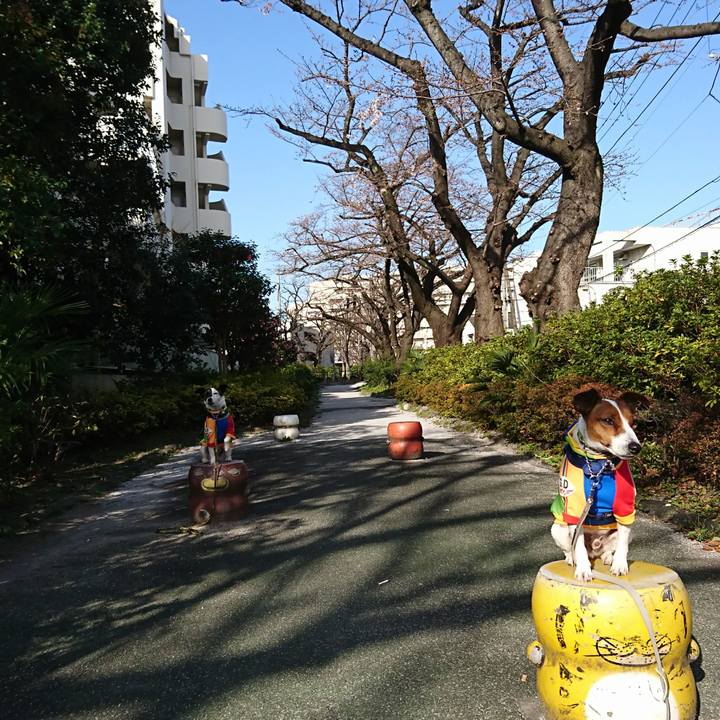 B2e48b71 b9df 47d2 af47 60f698334063 1616024333936