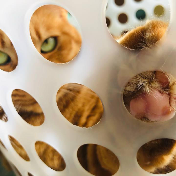 B2e49e40 ccee 4939 b212 e974dd72b377 1762047669838