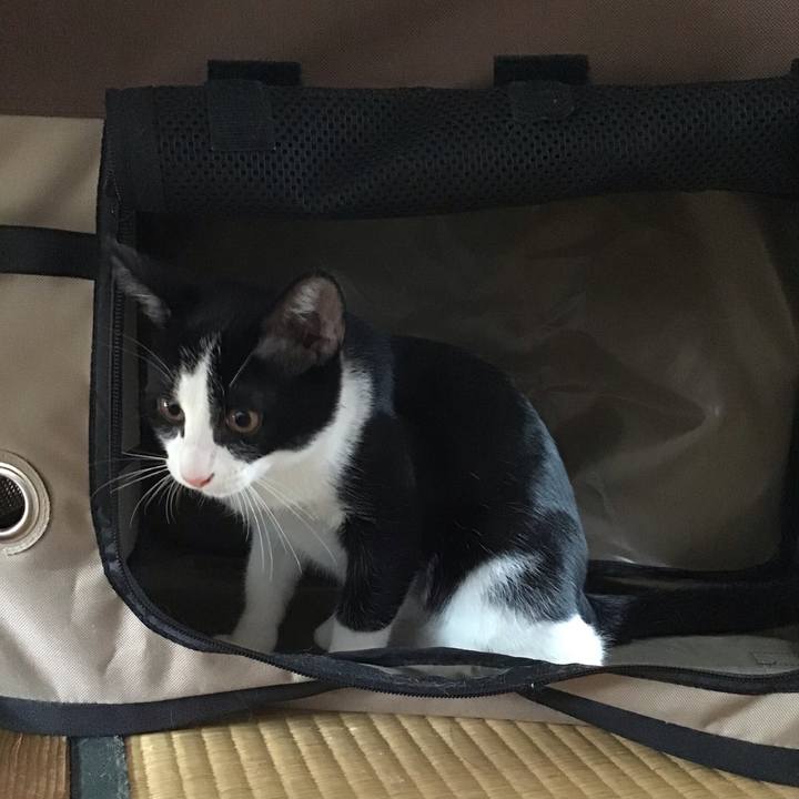 B2e4a1d6 a172 4e27 a74e 7d39e6235c46 1628833649856