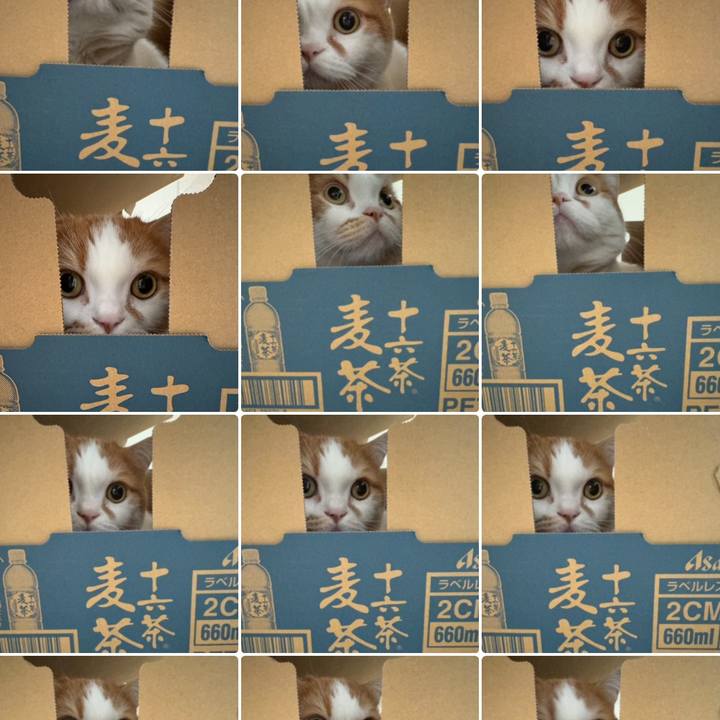 B2e4b803 d51e 4e83 9090 0d362f47cd56 1776561758440